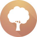 A tree icon on a brown background, representing Capricorn Beach.