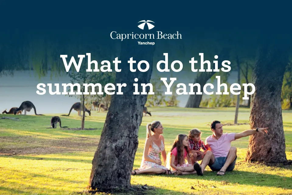 What to do this summer in Yanchep capricorn-yanchep-what-to-do-in-summer