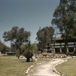 A historic photo of Yanchep land showing visitors walking along a garden path